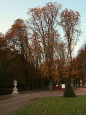 B-Herbststimmung 051.jpg